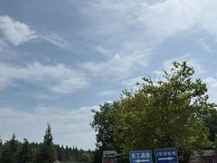 -日照海滨国家森林公园