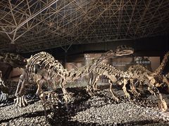 -世界恐龙谷景区