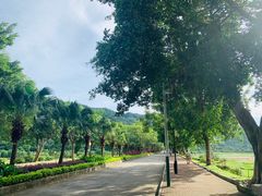-风云岭森林公园