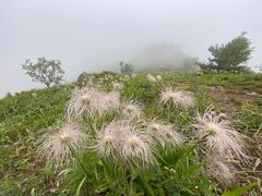 -北京鹫峰国家森林公园