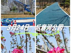 -后襄河公园