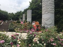 -杭州少年儿童公园