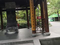 -中国茶叶博物馆(双峰馆区)