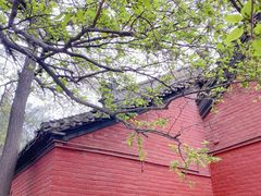 -洛阳白马寺