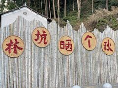 -林坑古村落