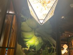 -云海肴·汽锅鸡·云南菜(天山百盛优客店)