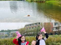 -铁山坪森林公园