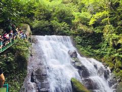 -藏龙百瀑风景区