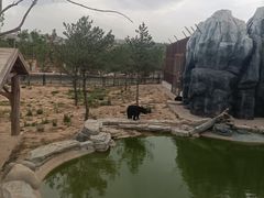 -太原动物园