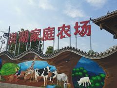 -洪湖家庭农场·团建·露营·会议