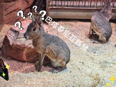 -正佳雨林生态植物园