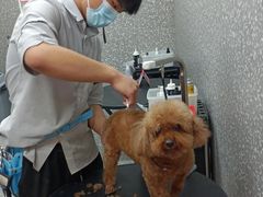 -宠物家(角门东店)