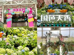 -盈香心动乐园