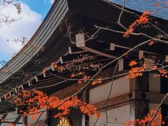 -三千院