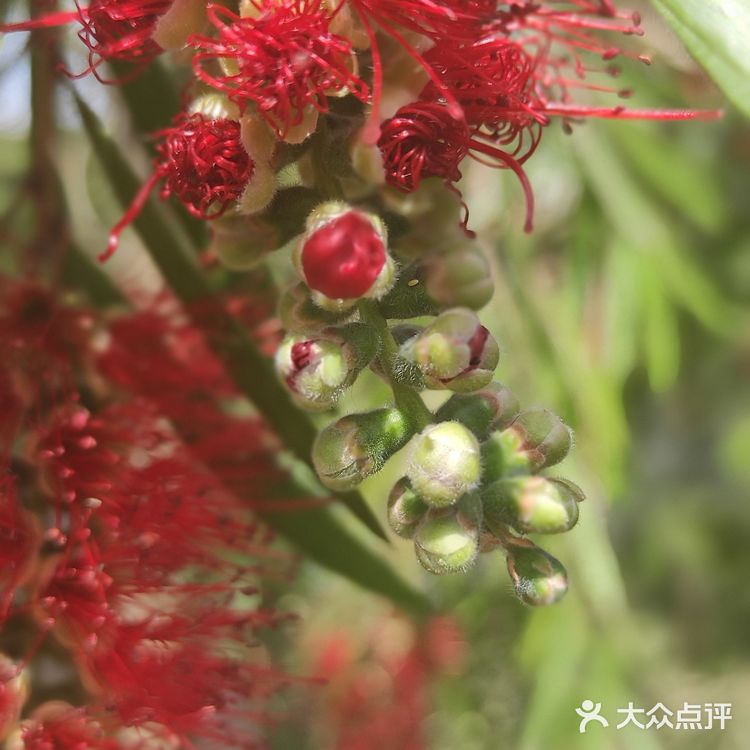 怒放的生命｜矗立在彩虹之巅🌈