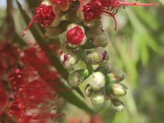 -沙河三洞古桥公园