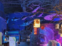 -烟台海昌鲸鲨海洋公园