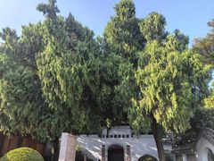 -江心屿景区