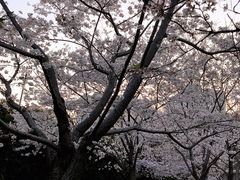 -上海体育场(地铁站)