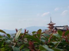 -有栖山 清光院 清水寺