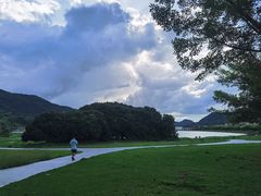 -风云岭森林公园