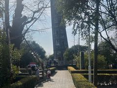 -上海佘山国家森林公园天马山园