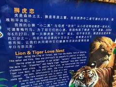 -海南热带野生动植物园