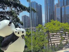 -嫩芽 ·地道重庆菜(十八梯露台夜景店)