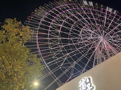 -南昌之星摩天轮