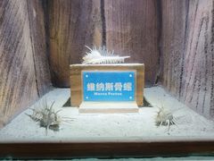 -南昌海洋公园