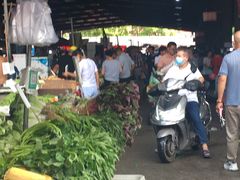 -树木岭集贸市场(劳动东路)