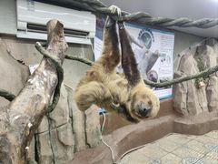 -正佳雨林生态植物园