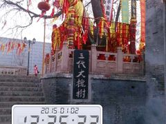 -大槐树寻根祭祖园
