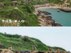 -东极岛景区-青浜岛