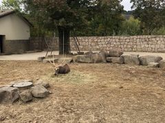 -苏州上方山国家森林公园