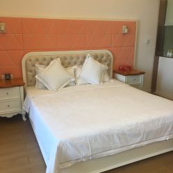 -上海美兰湖妇产科医院