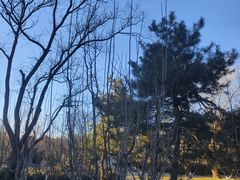 -元大都城垣遗址公园