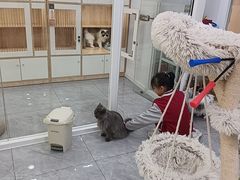 -爱洗澡的猫(天河路店)