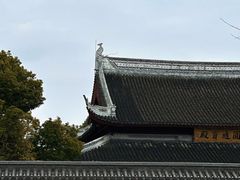 -上海东林寺(金山区)