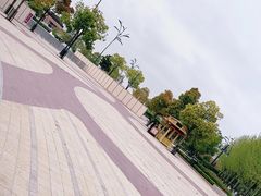 -喜茶(迪士尼小镇DP店)