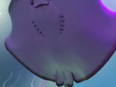 -沈阳海洋探索中心