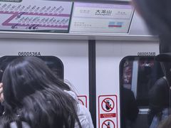 -大龙山(地铁站)