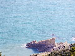 -深圳湾公园(南山区)