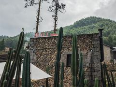 -MOJ coffee(瓯海泽雅水碓坑店)