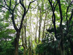 -采石矶景区