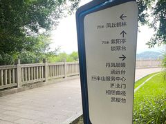 -牛岗山公园