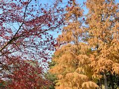 -狼山风景名胜区