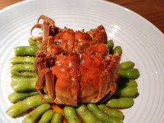-扬州狮子楼·非遗淮扬菜(东关街店)