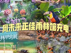 -正佳雨林生态植物园