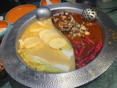 -麻田会 ·鲜活现烹·牛蛙火锅(珠江新城维家思广场店)